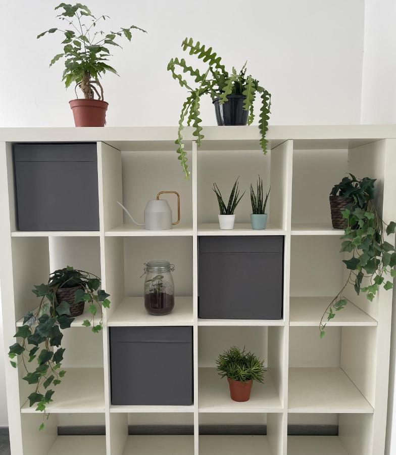 Ami House Roma Apartment ภายนอก รูปภาพ